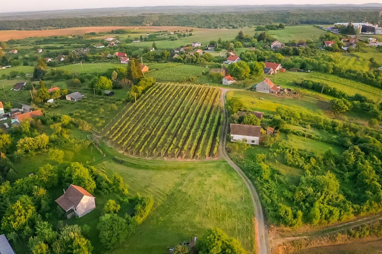 Village Wine House Mandicevac Exterior photo