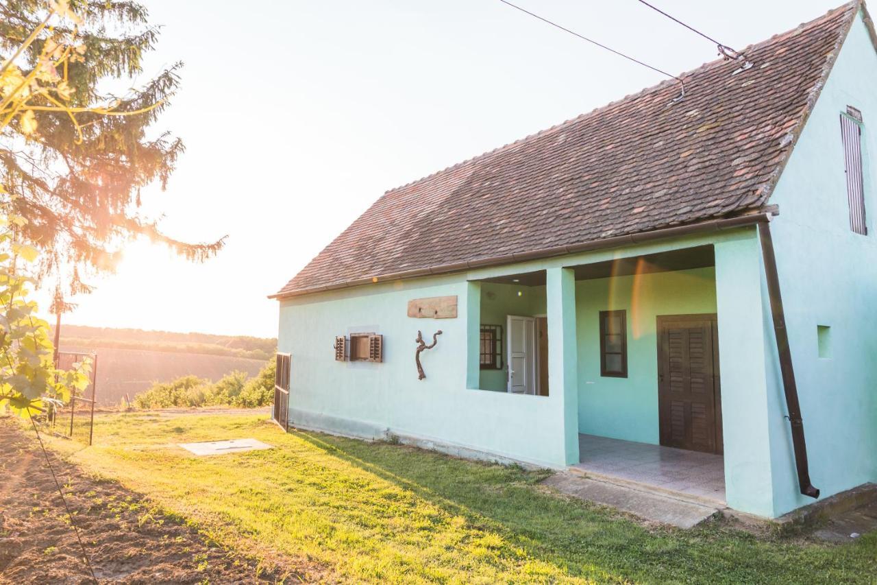 Village Wine House Mandicevac Exterior photo