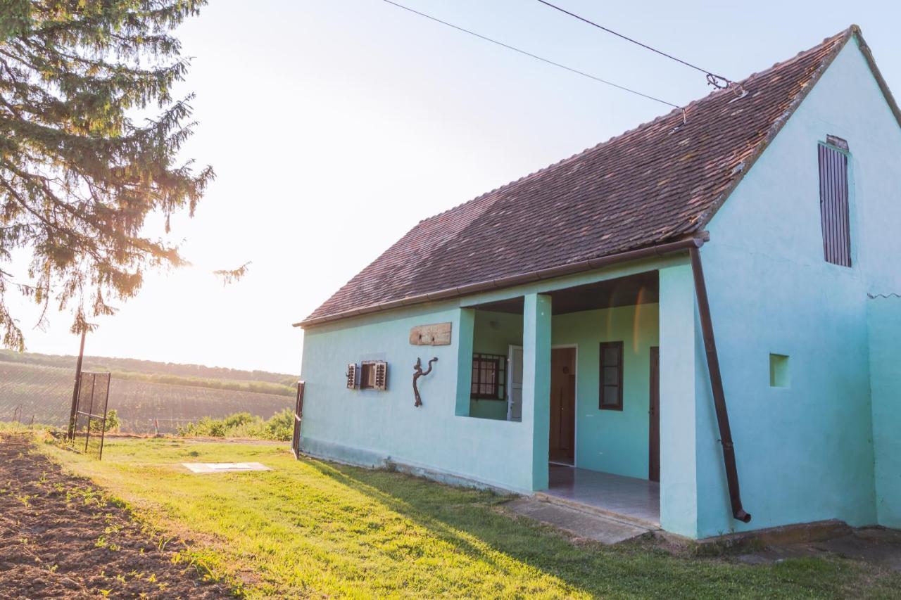 Village Wine House Mandicevac Exterior photo