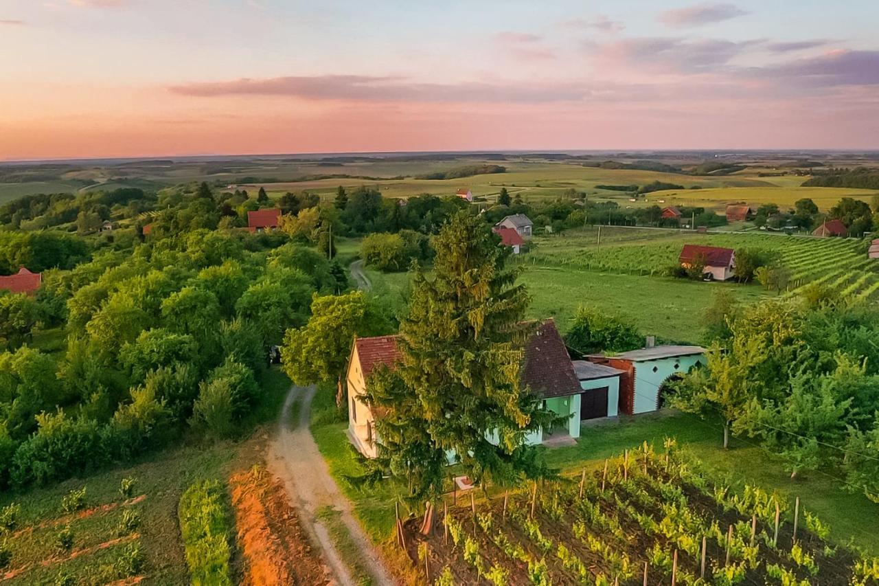 Village Wine House Mandicevac Exterior photo