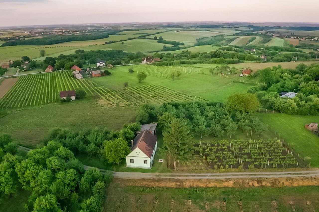 Village Wine House Mandicevac Exterior photo