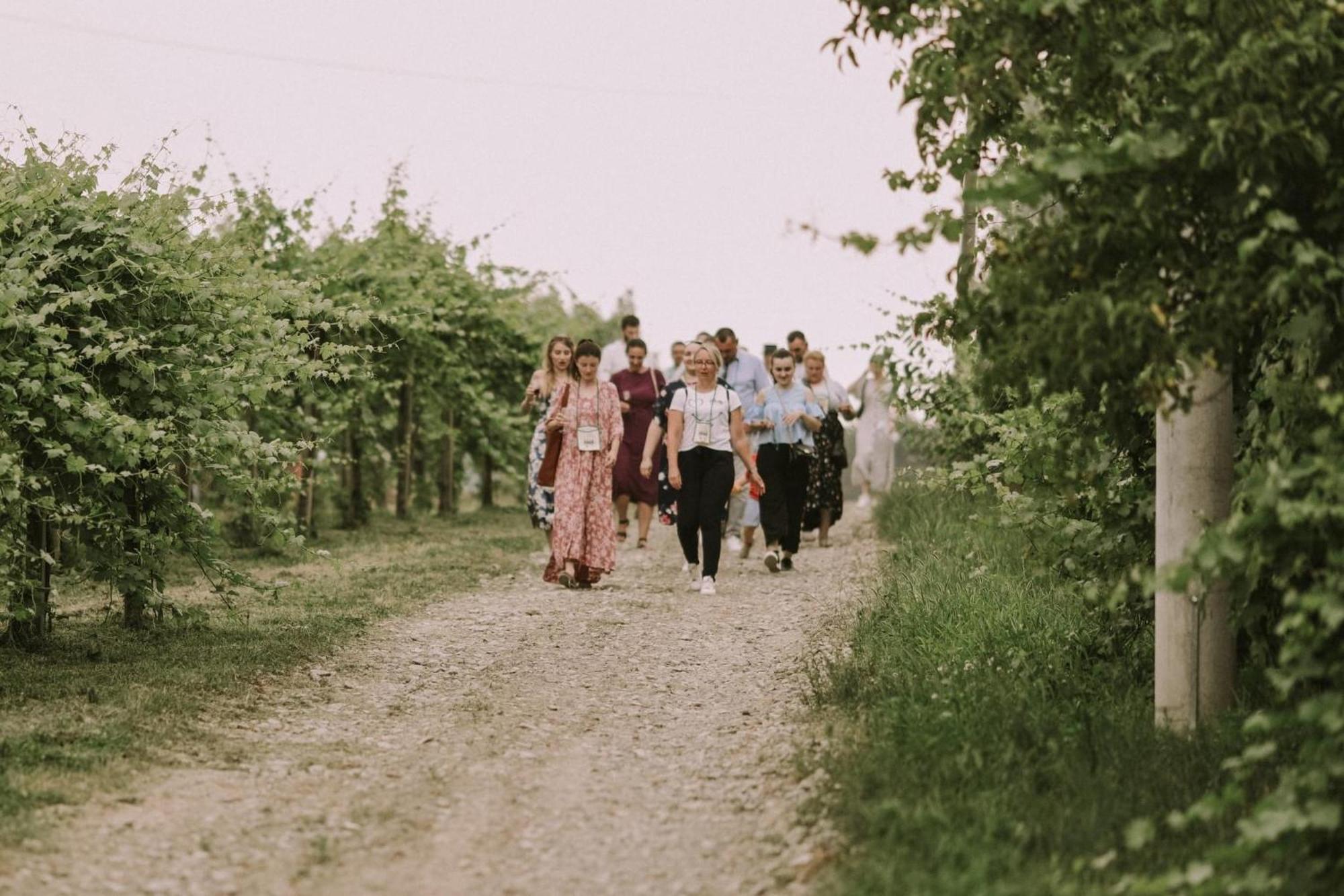 Village Wine House Mandicevac Exterior photo